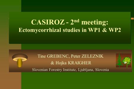 CASIROZ - 2 nd meeting: Ectomycorrhizal studies in WP1 & WP2 Tine GREBENC, Peter ZELEZNIK & Hojka KRAIGHER Slovenian Forestry Institute, Ljubljana, Slovenia.