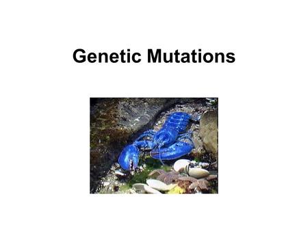 Genetic Mutations. Mutation: An unpredictable change in the genetic material of an organism Gene Mutation: A change in the structure of a DNA molecule,