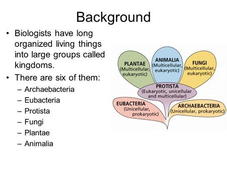 Background Biologists have long organized living things into large groups called kingdoms. There are six of them: –Archaebacteria –Eubacteria –Protista.