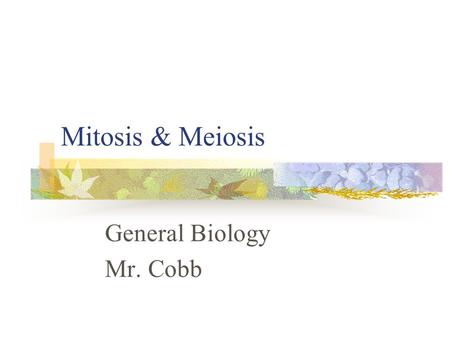 General Biology Mr. Cobb