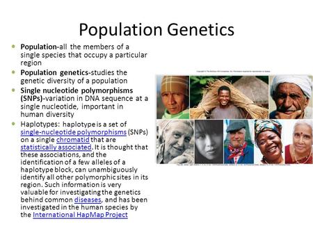 Population Genetics Population-all the members of a single species that occupy a particular region Population genetics-studies the genetic diversity of.