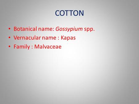 COTTON Botanical name: Gossypium spp. Vernacular name : Kapas