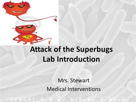 Attack of the Superbugs Lab Introduction
