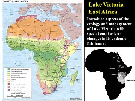 Lake Victoria East Africa Introduce aspects of the ecology and management of Lake Victoria with special emphasis on changes in its endemic fish fauna.