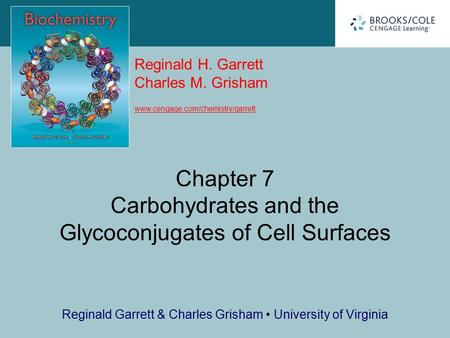 Chapter 7 Carbohydrates and the Glycoconjugates of Cell Surfaces