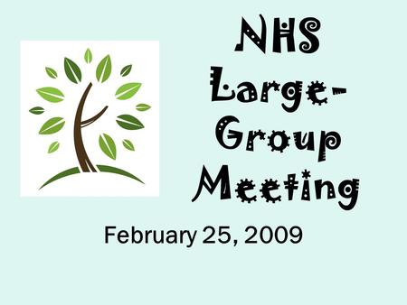 NHS Large- Group Meeting February 25, 2009. BHS Leadership Council Emily has info Questions? Ask Ms. Cary!