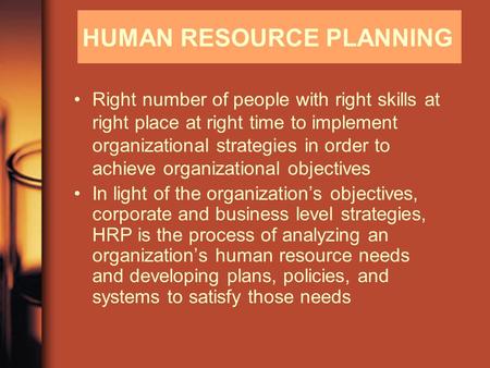 HUMAN RESOURCE PLANNING