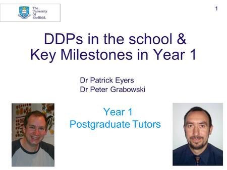 DDPs in the school & Key Milestones in Year 1 Dr Patrick Eyers Dr Peter Grabowski Year 1 Postgraduate Tutors 1.