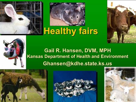Healthy fairs Gail R. Hansen, DVM, MPH Kansas Department of Health and Environment
