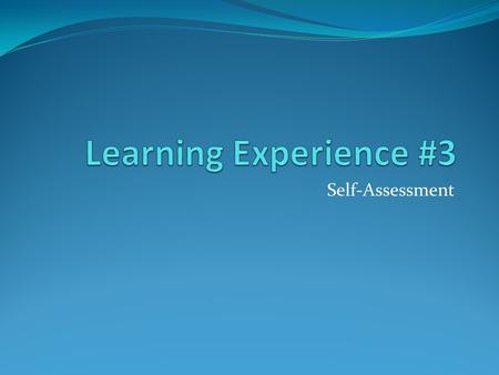 Learning Experience #3 Self-Assessment.
