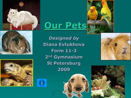 Our Pets Our Pets Designed by Diana Evtukhova Form 11-3 2 nd Gymnasium St Petersburg 2009.