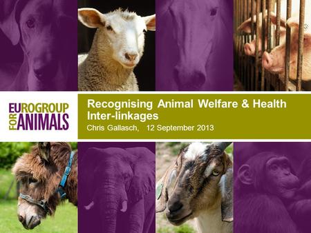 Chris Gallasch, 12 September 2013 Recognising Animal Welfare & Health Inter-linkages.