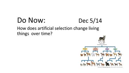 How does artificial selection change living things over time?