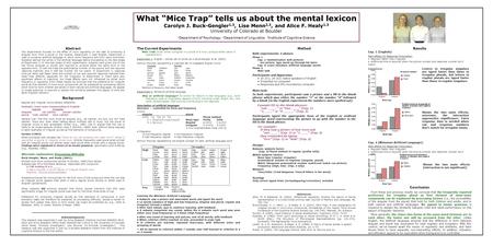 What “Mice Trap” tells us about the mental lexicon Carolyn J. Buck-Gengler 1,3, Lise Menn 2,3, and Alice F. Healy 1,3 University of Colorado at Boulder.