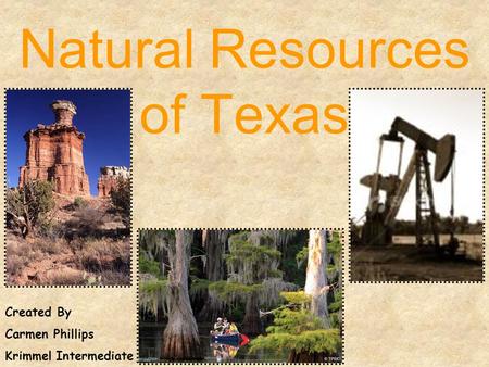 Natural Resources of Texas