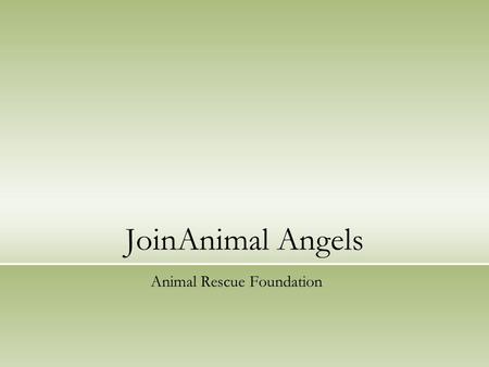 JoinAnimal Angels Animal Rescue Foundation. Introduction Evan Rowe, Volunteer Coordinator Volunteer opportunities.
