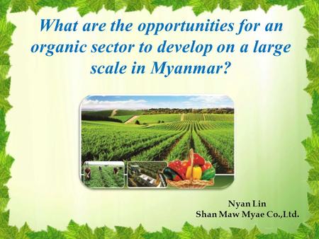 What are the opportunities for an organic sector to develop on a large scale in Myanmar? Nyan Lin Shan Maw Myae Co.,Ltd.
