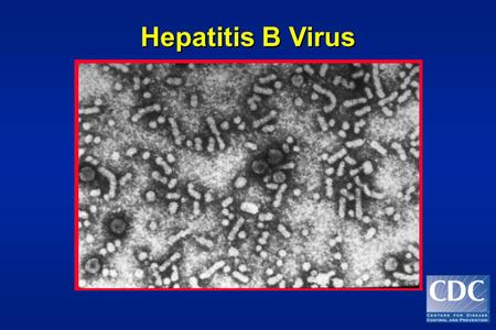 Hepatitis B Virus 28.