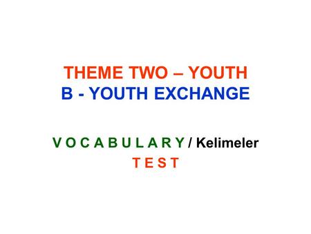 THEME TWO – YOUTH B - YOUTH EXCHANGE V O C A B U L A R Y / Kelimeler T E S T.