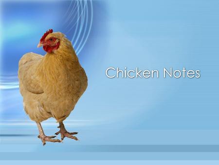 Chicken Notes. Nutritional Values Protein excellent source Helps build and repair tissues Important for concentration excellent source Helps build and.