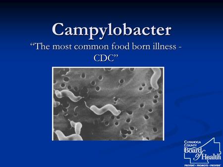 Campylobacter “The most common food born illness - CDC”
