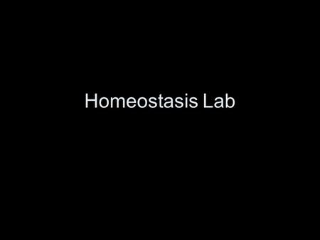 Homeostasis Lab.