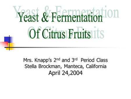Mrs. Knapp’s 2 nd and 3 rd Period Class Stella Brockman, Manteca, California April 24,2004.