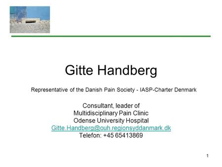 1 Gitte Handberg Consultant, leader of Multidisciplinary Pain Clinic Odense University Hospital Telefon: +45 65413869.
