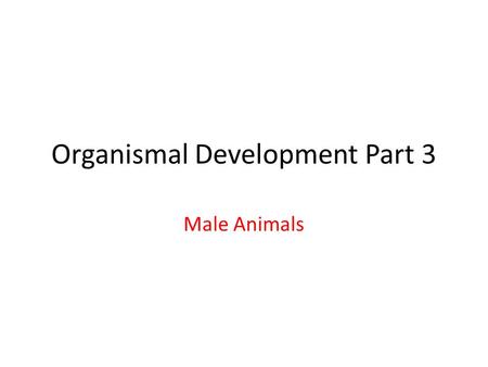 Organismal Development Part 3