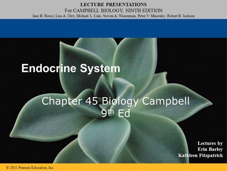 Chapter 45 Biology Campbell 9th Ed