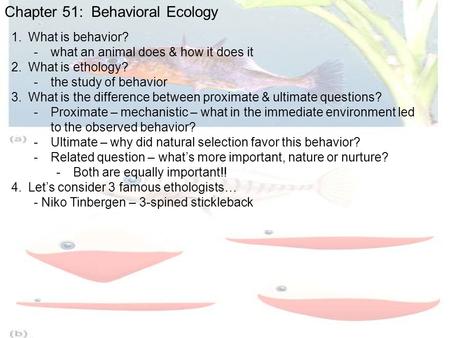 Chapter 51: Behavioral Ecology