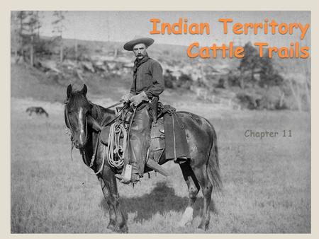 Indian Territory Cattle Trails