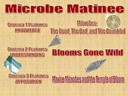 Summary Intro to microbes what they are where found how affect humans.