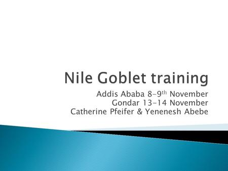Addis Ababa 8-9 th November Gondar 13-14 November Catherine Pfeifer & Yenenesh Abebe.