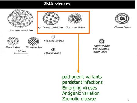 1 RNA viruses pathogenic variants persistent infections Emerging viruses Antigenic variation Zoonotic disease.
