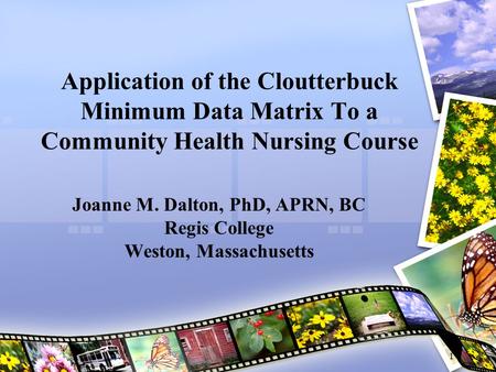 1 Application of the Cloutterbuck Minimum Data Matrix To a Community Health Nursing Course Joanne M. Dalton, PhD, APRN, BC Regis College Weston, Massachusetts.
