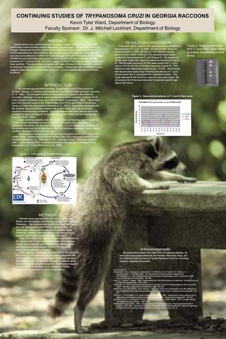 CONTINUING STUDIES OF TRYPANOSOMA CRUZI IN GEORGIA RACCOONS Kevin Tyler Ward, Department of Biology Faculty Sponsor: Dr. J. Mitchell Lockhart, Department.