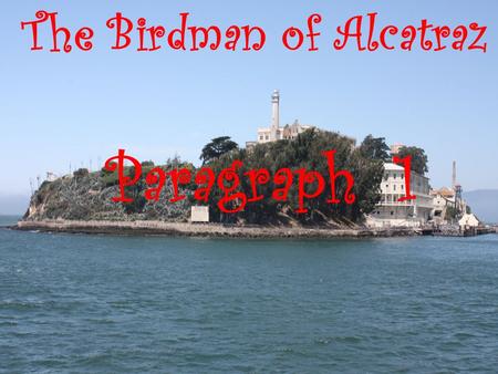 The Birdman of Alcatraz Paragraph 1. Cold   Miserable.