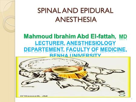 SPINAL AND EPIDURAL ANESTHESIA Mahmoud Ibrahim Abd El-fattah, md lecturer, anesthesiology departement, faculty of medicine, benha university.