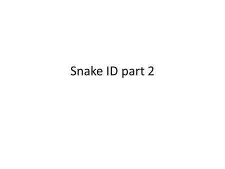 Snake ID part 2.
