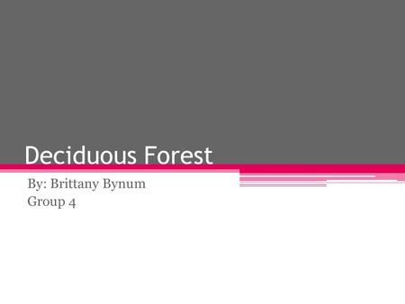 Deciduous Forest By: Brittany Bynum Group 4. Where is your biome found? Deciduous Forest are usually found in the eastern half of the world. The U.S.,