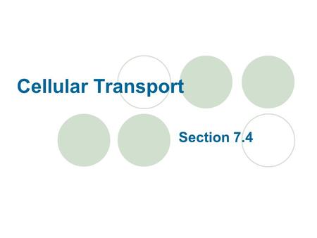 Cellular Transport Section 7.4.