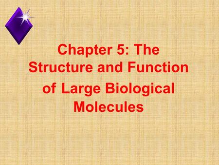 Chapter 5: The Structure and Function of Large Biological Molecules