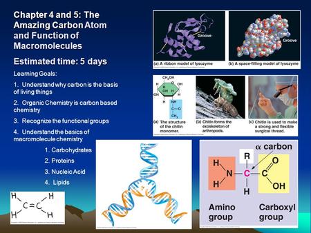 Chapter 4 and 5: The Amazing Carbon Atom and Function of Macromolecules Estimated time: 5 days Learning Goals: 1. Understand why carbon is the basis of.