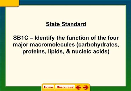 State Standard SB1C – Identify the function of the four major macromolecules (carbohydrates, proteins, lipids, & nucleic acids)