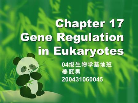 Chapter 17 Gene Regulation in Eukaryotes