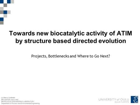 Towards new biocatalytic activity of ATIM by structure based directed evolution Projects, Bottlenecks and Where to Go Next?