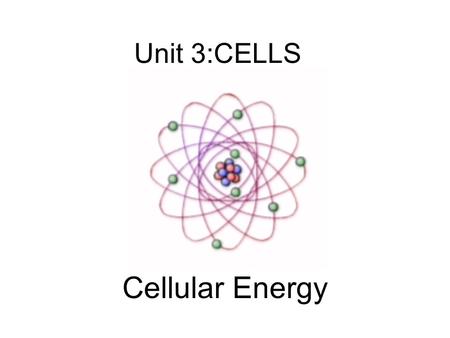 Unit 3:CELLS Cellular Energy. Carbon Compounds Objective What are the functions of each group of organic compounds?