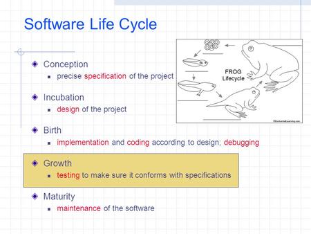 Software Life Cycle Conception precise specification of the project Incubation design of the project Birth implementation and coding according to design;