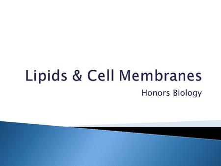 Lipids & Cell Membranes